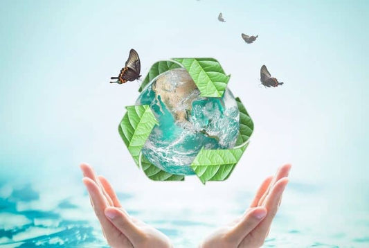 Sustainable Living