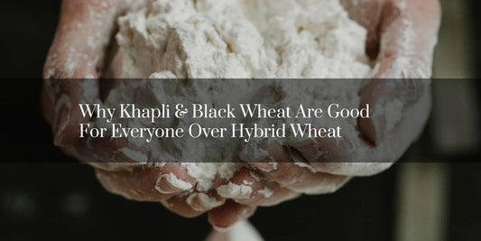 Why Khapli And Black Wheat Are Good For Everyone Over Hybrid Wheat