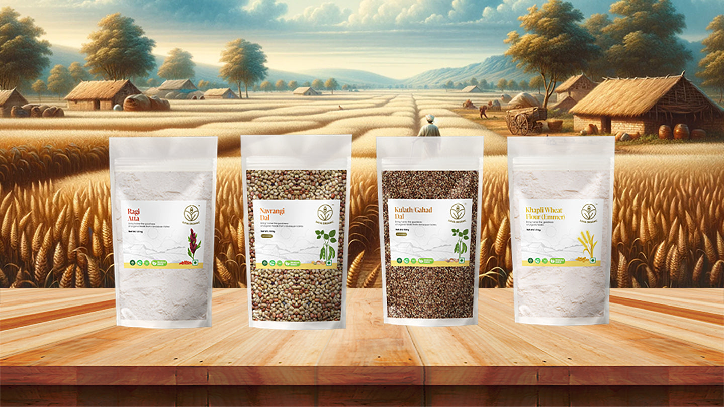 Organic Food Grains – Shiva Organic Global