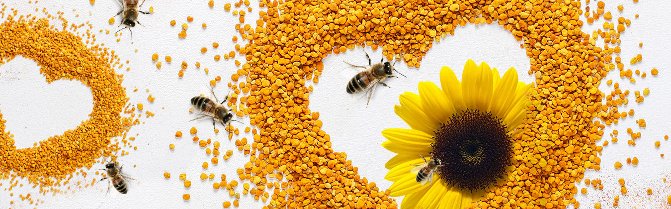 Best Bee Pollen | Shiva Organic