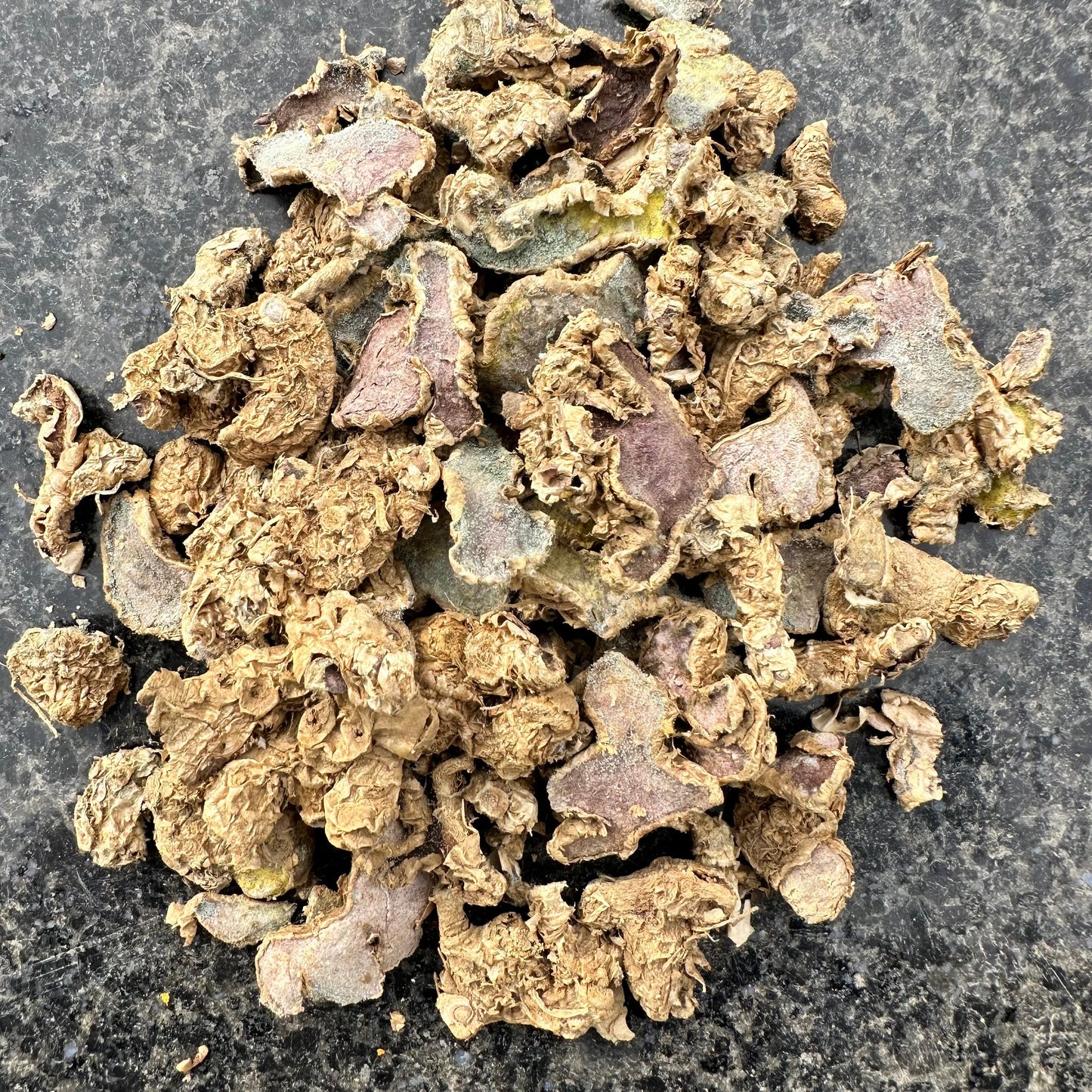 Black Ginger Dry | Shiva Organic