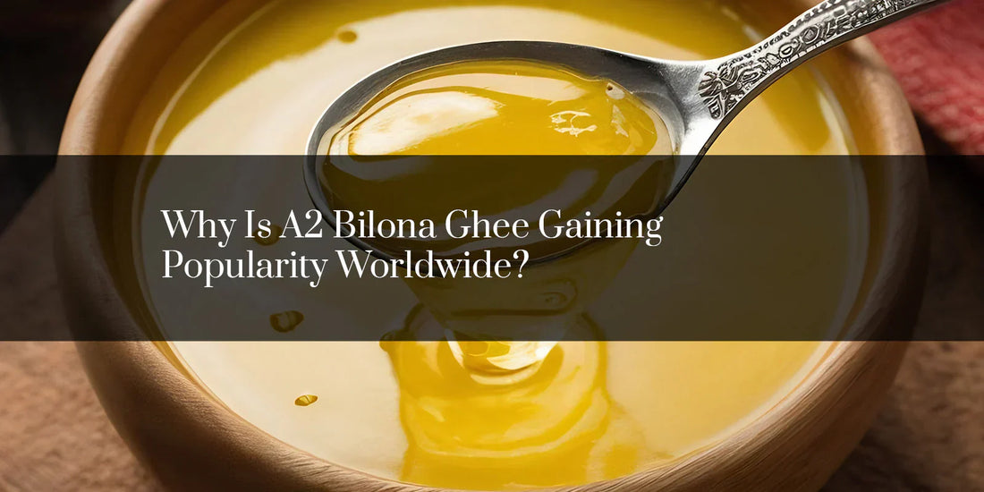 Why Is A2 Bilona Ghee Gaining Popularity Worldwide?