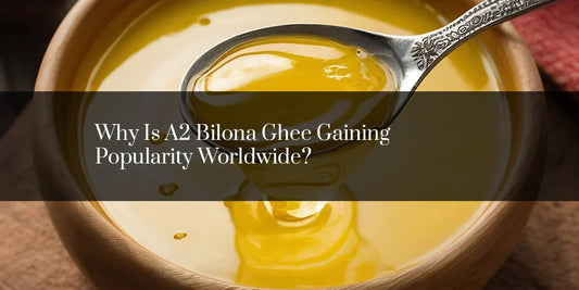 Why Is A2 Bilona Ghee Gaining Popularity Worldwide?
