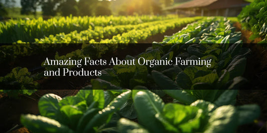 Amazing Facts About Organic Farming and Products