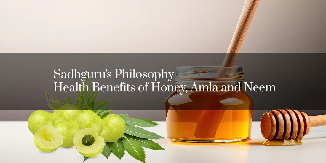 Sadhguru's Philosophy Health Benefits of Honey Amla, And Neem