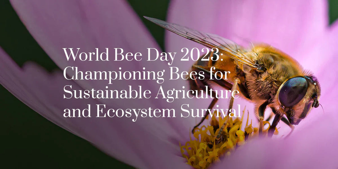 World Bee Day 2023: Championing Bees for Sustainable Agriculture and Ecosystem Survival