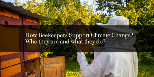 How Beekeepers Support Climate Change? Who They Are and What They Do?