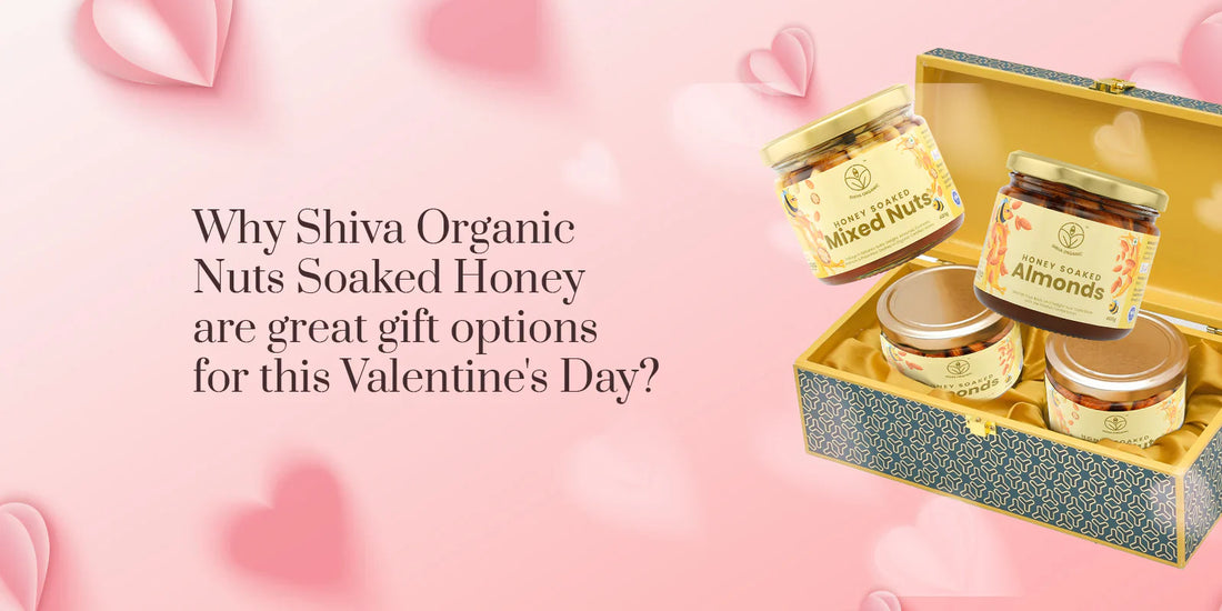 Why Shiva Organic Nuts Soaked Honey are great gift options for this Valentine's Day?