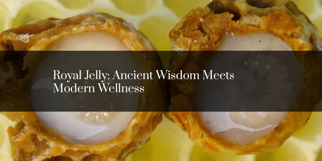 ROYAL JELLY: ANCIENT WISDOM MEETS MODERN WELLNESS