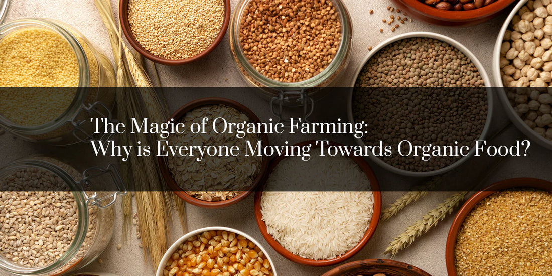 The Magic of Organic Farming; Why is Everyone Moving Towards Organic Food?