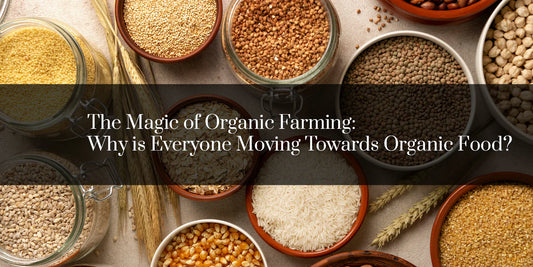 The Magic of Organic Farming; Why is Everyone Moving Towards Organic Food?